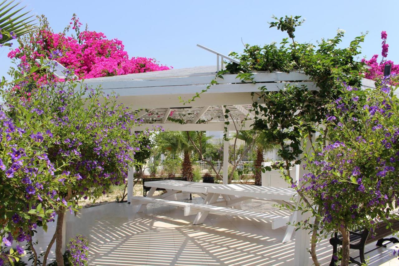 Caesar Beach Villas And Apartments Gastria Buitenkant foto